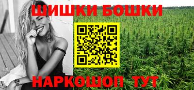Альфа ПВП Беслан