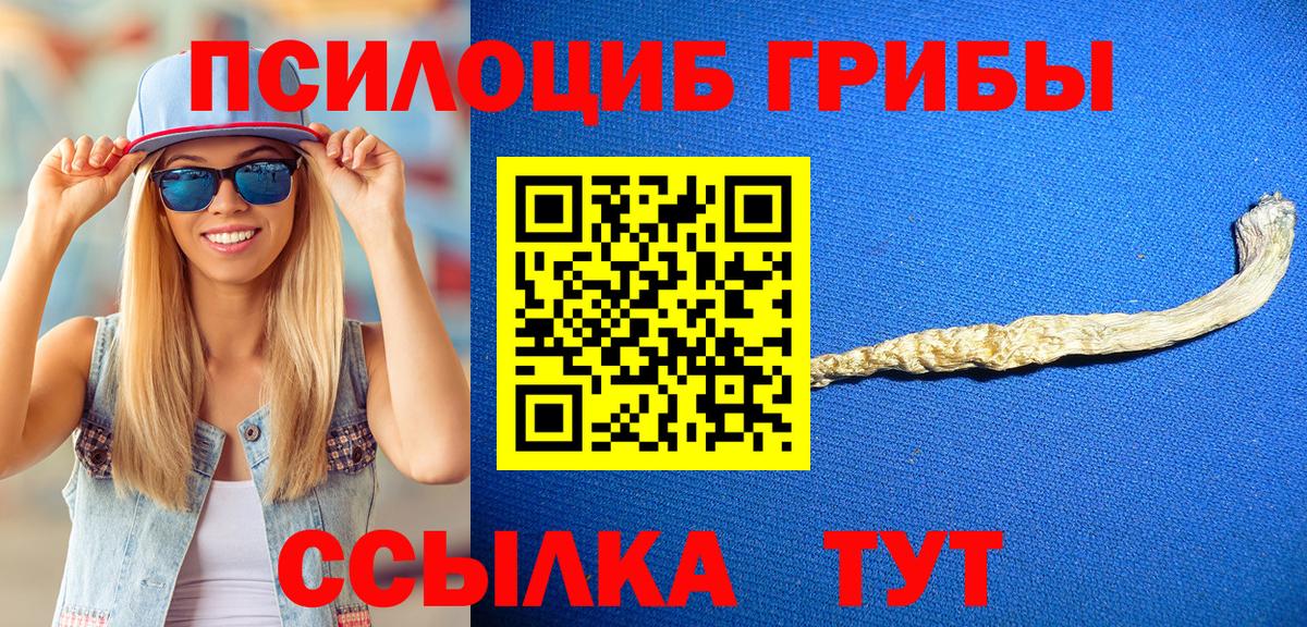 Псилоцибиновые грибы прущие грибы Кинель