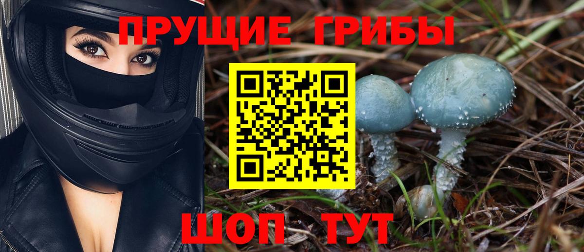 Кинель  Псилоцибиновые грибы Psilocybine cubensis  Вход с VPN  Псилоцибиновые грибы MAGIC MUSHROOMS 